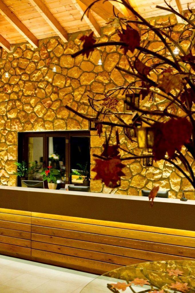 Pliadon Gi Mountain Resort & Spa Kato Sinikia Trikalon エクステリア 写真